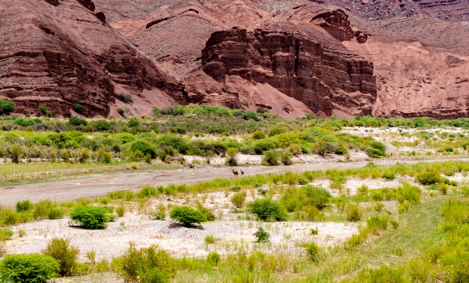 route 68 proche de cafayate et ses paysages rocheux au nord-ouest de l'argentine