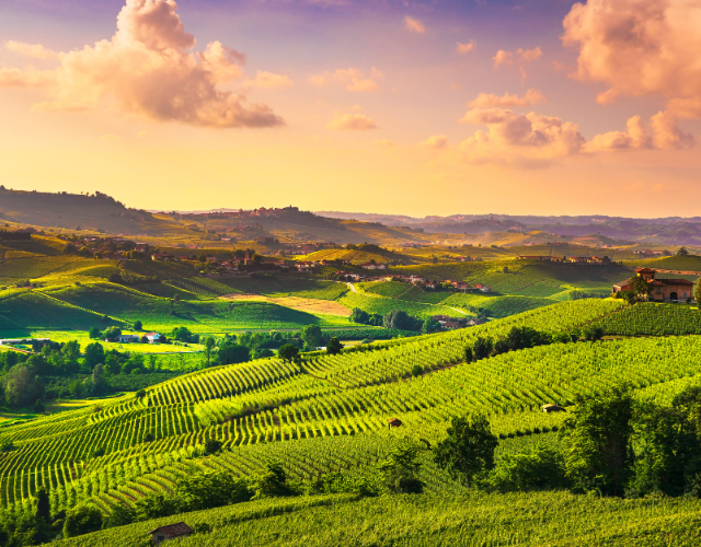 vignobles de barolo dans les langhe au coucher du soleil - piémont en italie