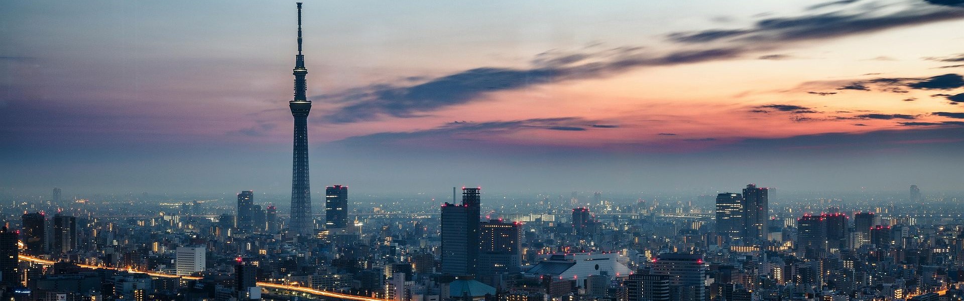 vue aérienne de la skyline de la ville de tokyo au crépuscule