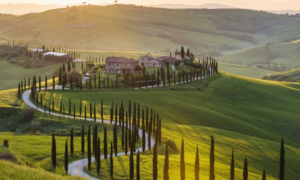 vue aérienne sur une route sinueuse bordée de cyprès dans la campagne toscane au coucher du soleil