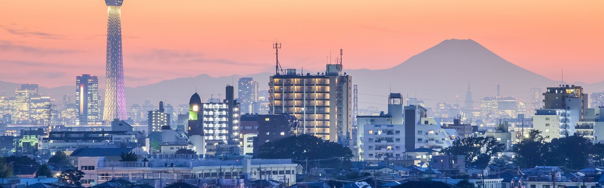 vue sur la ville de tokyo et le mont fuji en arrière-plan au coucher du soleil