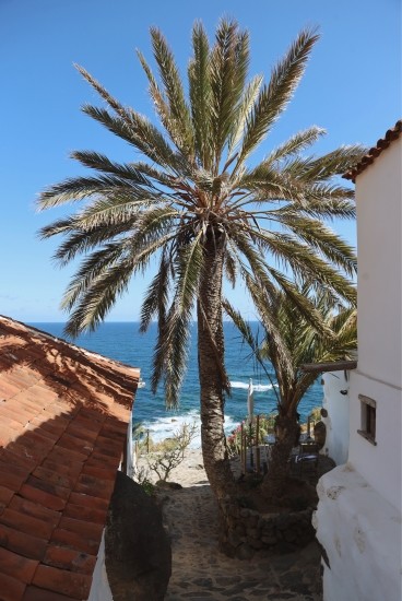 /Photo galerie Nicole Bernardes Tenerife 4