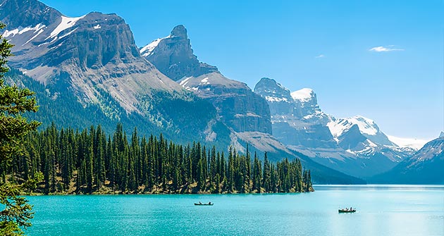 Au Canada en août avec Amplitudes