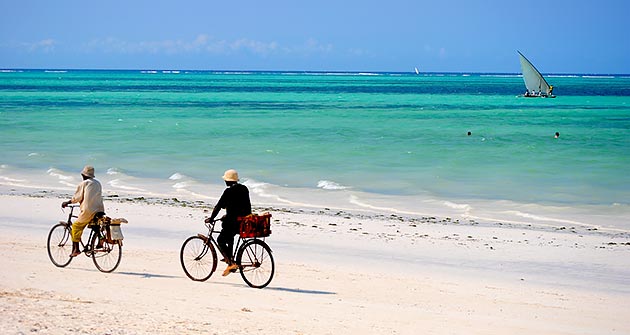 Au Zanzibar en août avec Amplitudes