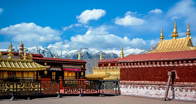 Au Tibet en février avec Amplitudes