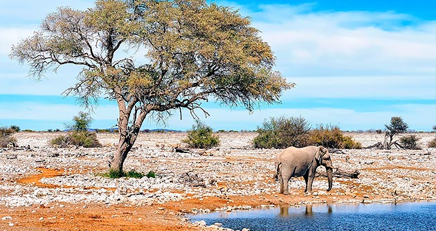 En Namibie en septembre avec Amplitudes