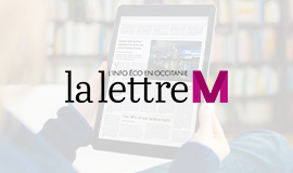 La Lettre M